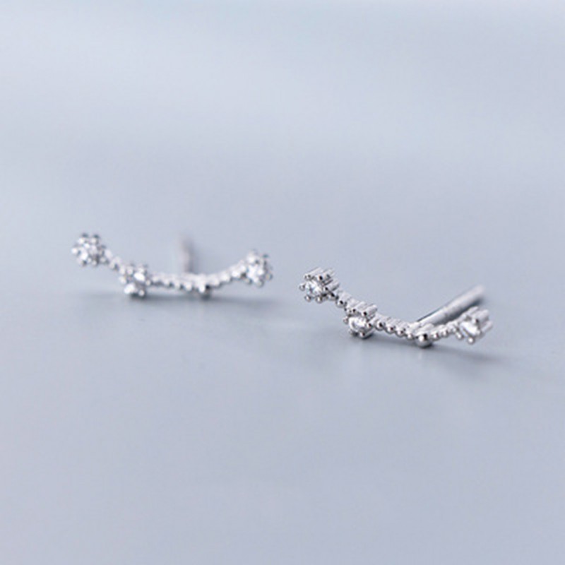 Inlaid Diamond Twelve Constellation Earrings
